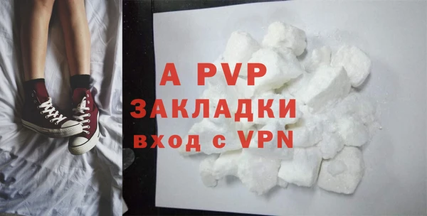 хмурый Няндома