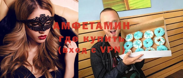 хмурый Няндома