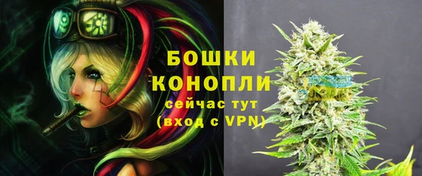 хмурый Няндома