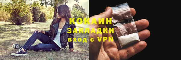 хмурый Няндома
