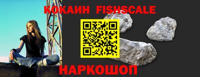 индика Будённовск