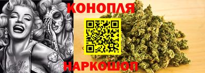 индика Будённовск