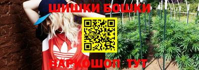 гидропоника Апшеронск