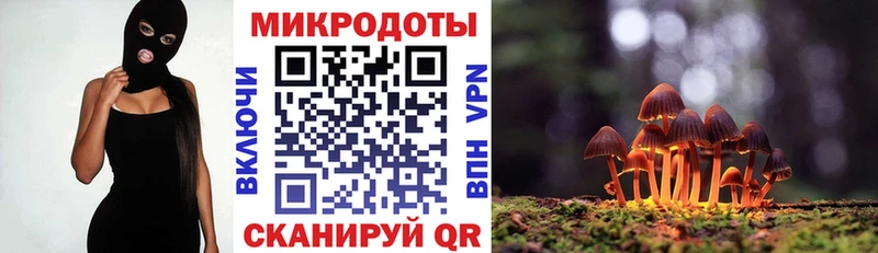 где купить наркоту  Нововоронеж  Псилоцибиновые грибы Psilocybine cubensis 