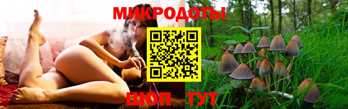 Галлюциногенные грибы Magic Shrooms Нововоронеж