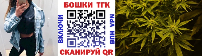 Бошки марихуана Ganja  Нововоронеж 