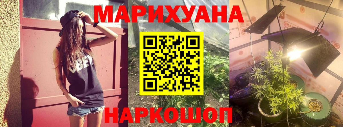 Шишки марихуана семена  Каннабис гибрид  Вход с VPN  Канабис семена  Нововоронеж  Конопля семена 
